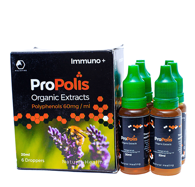 Gallery image: IMG_8313.png