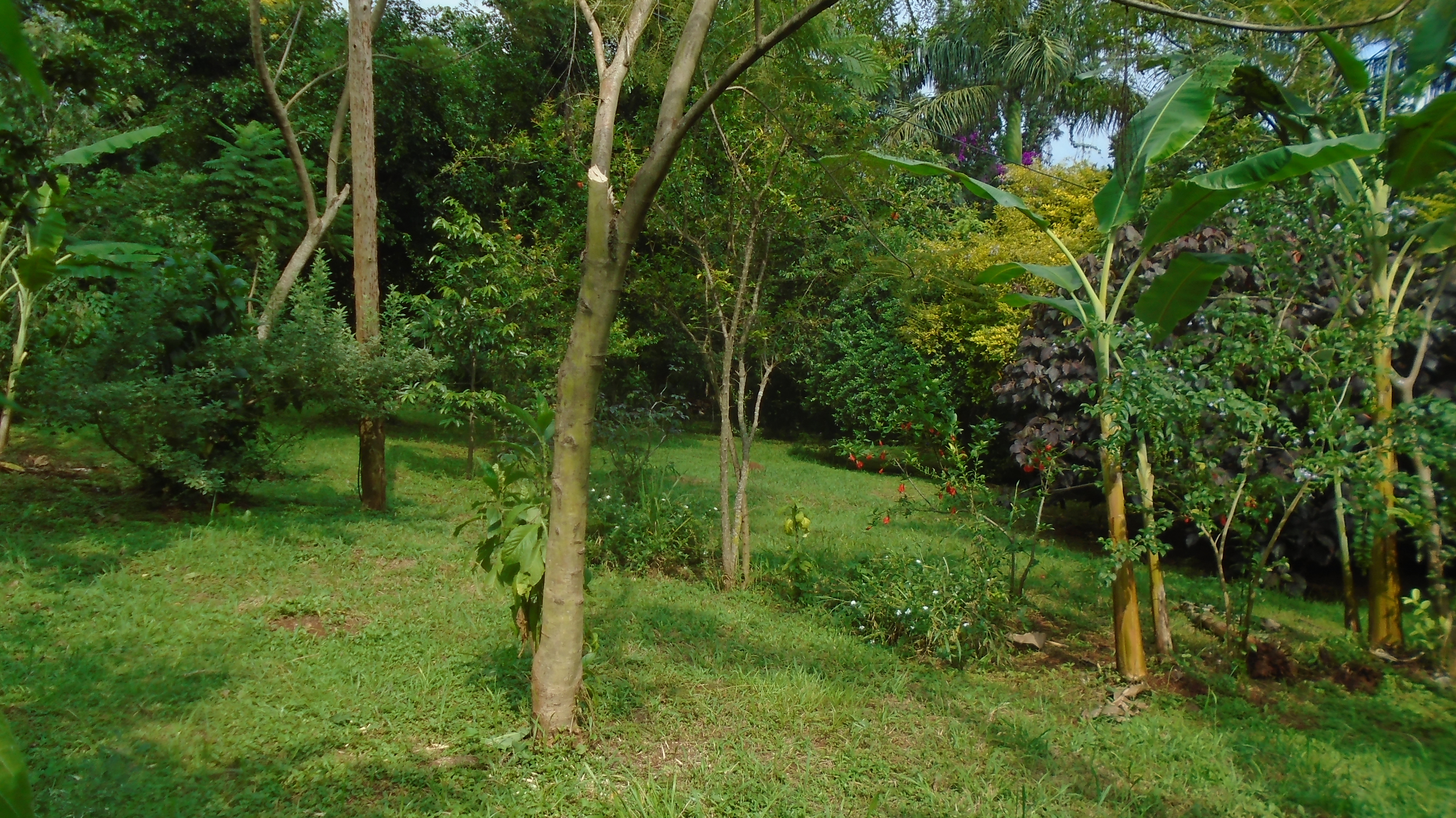 Gallery image: DSC02442.JPG