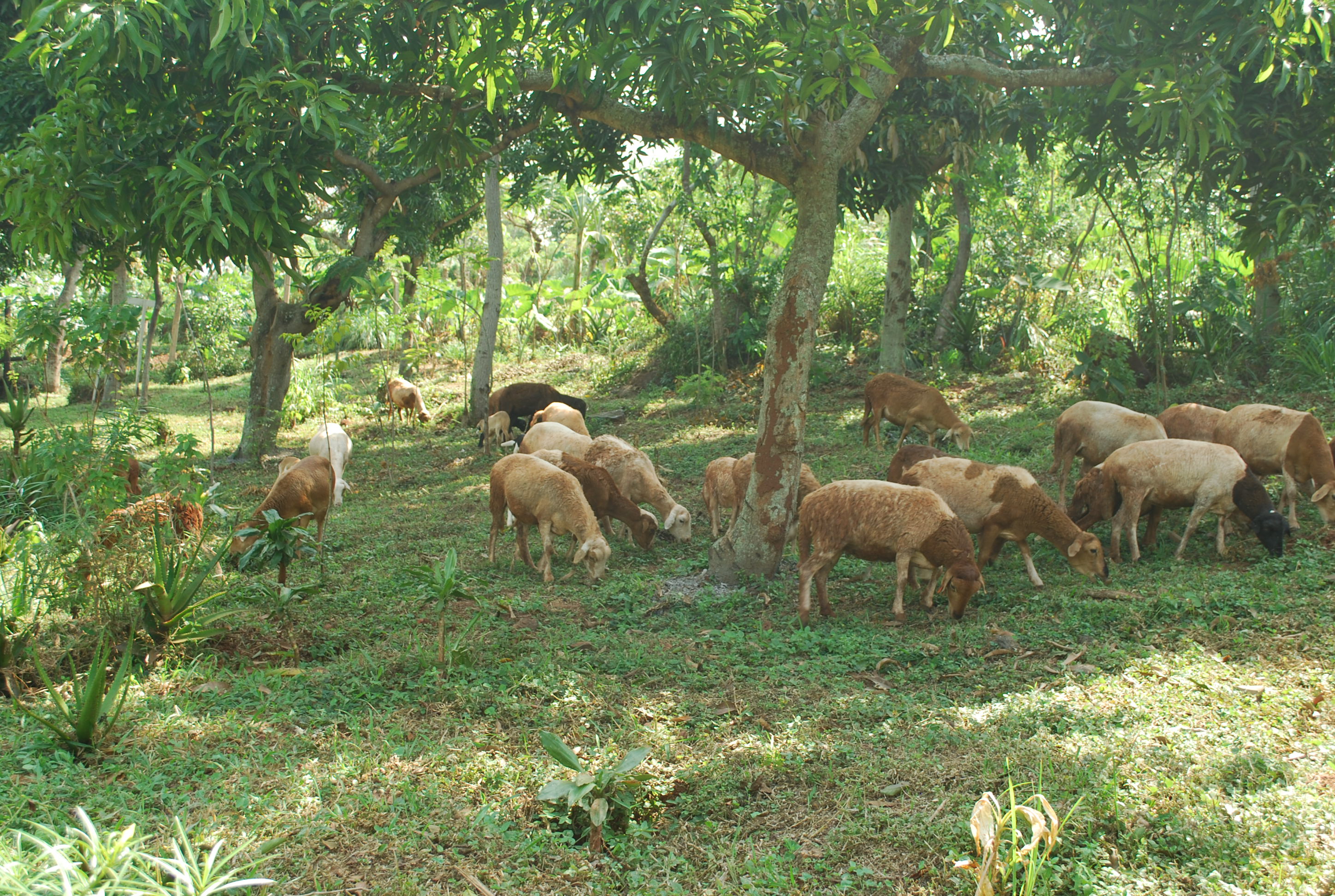 Gallery image: DSC_0068.JPG