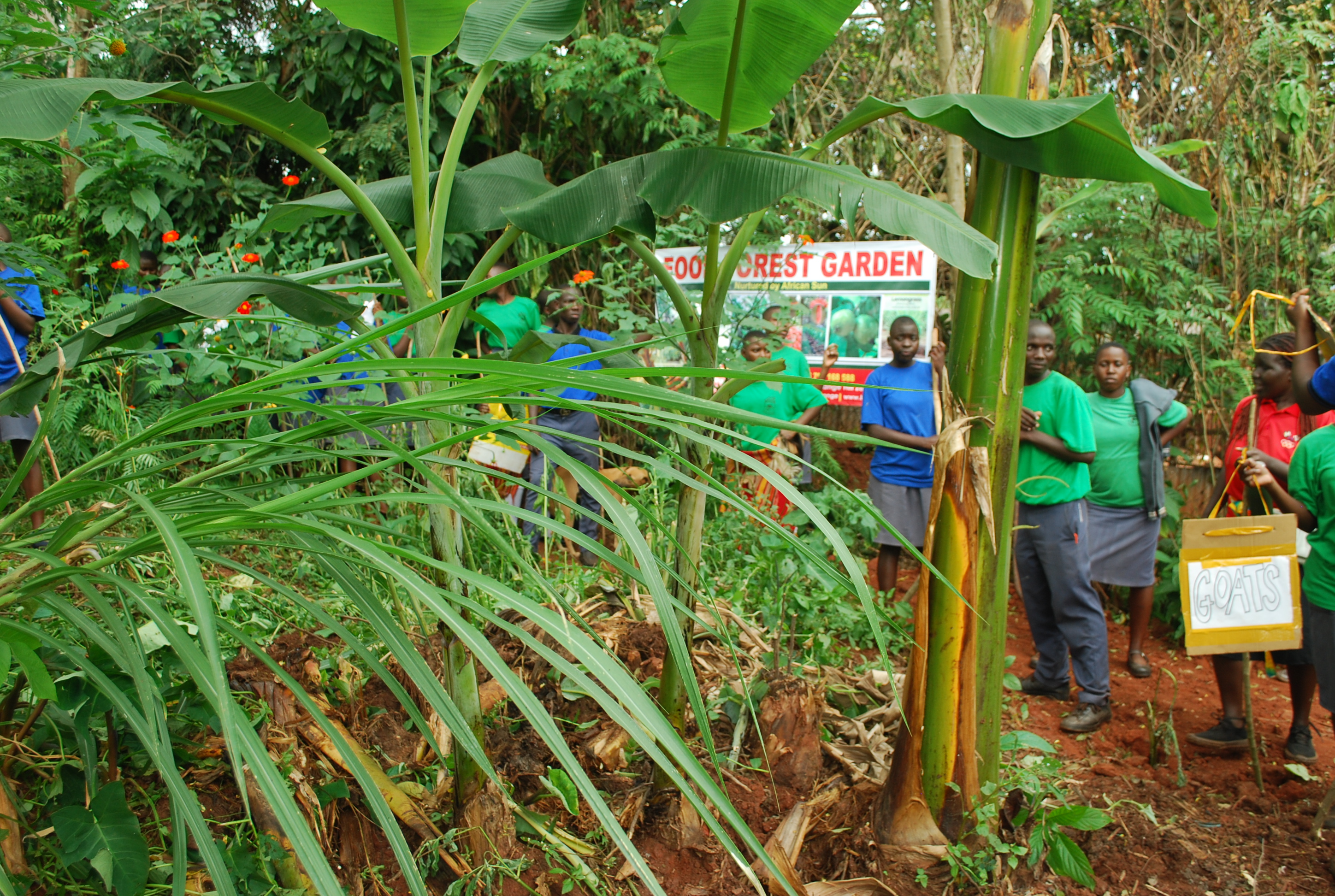 Gallery image: DSC_1317.JPG