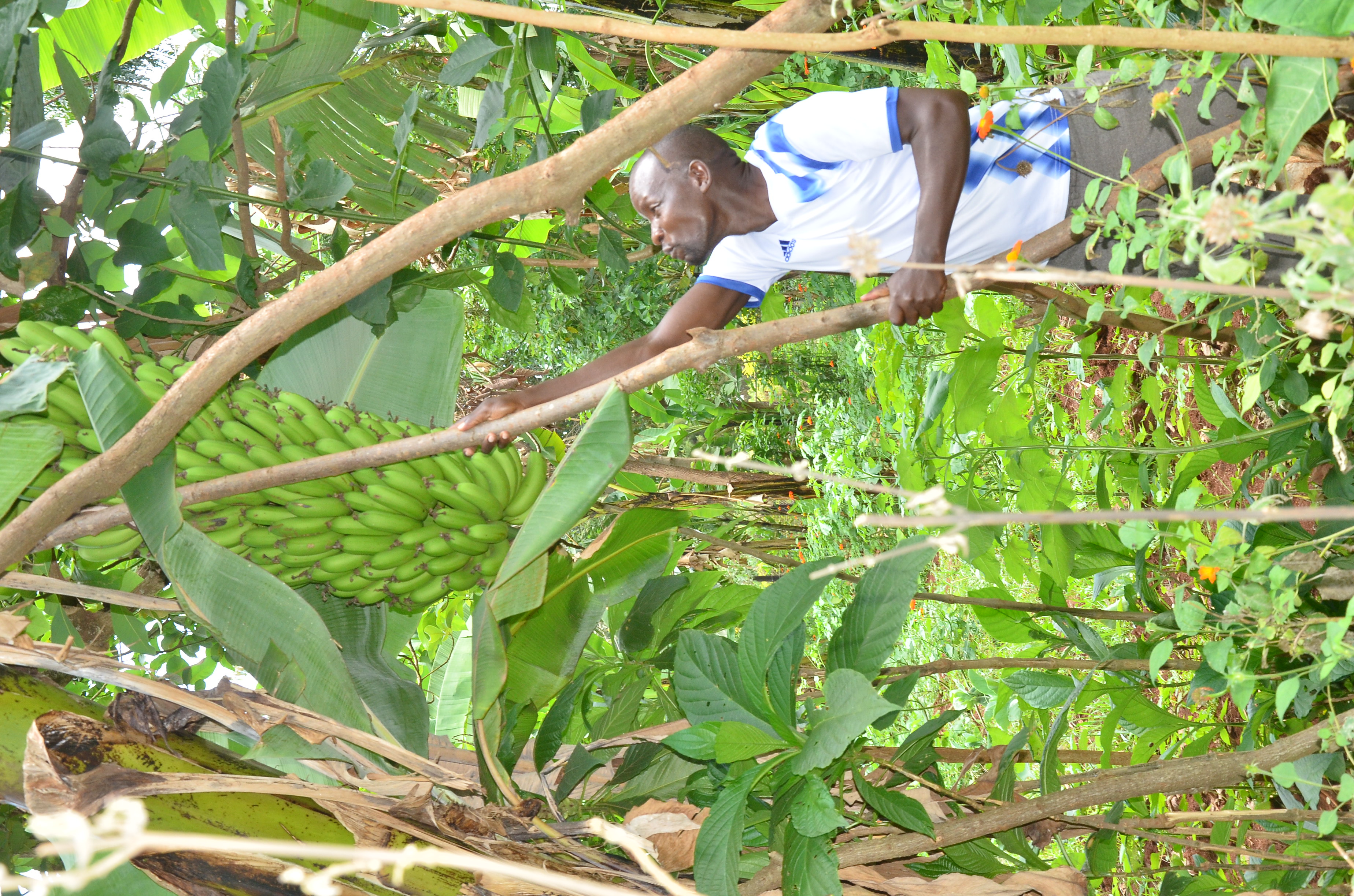 Gallery image: DSC_8173.JPG