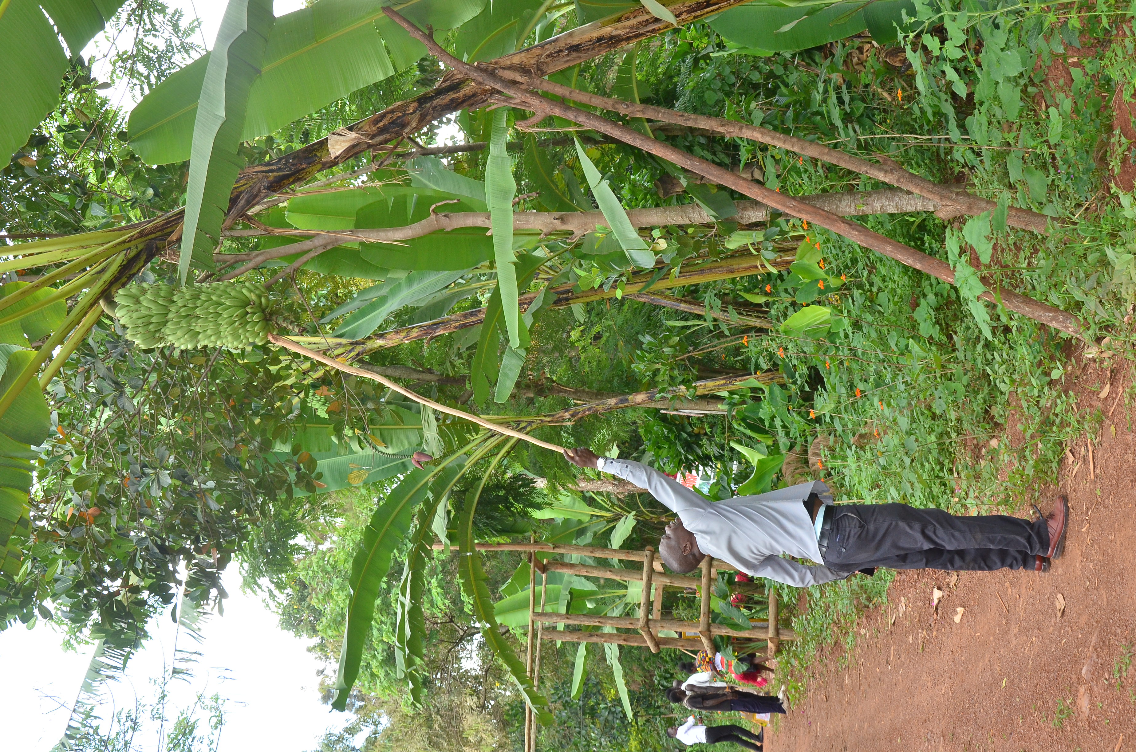 Gallery image: DSC_8185.JPG