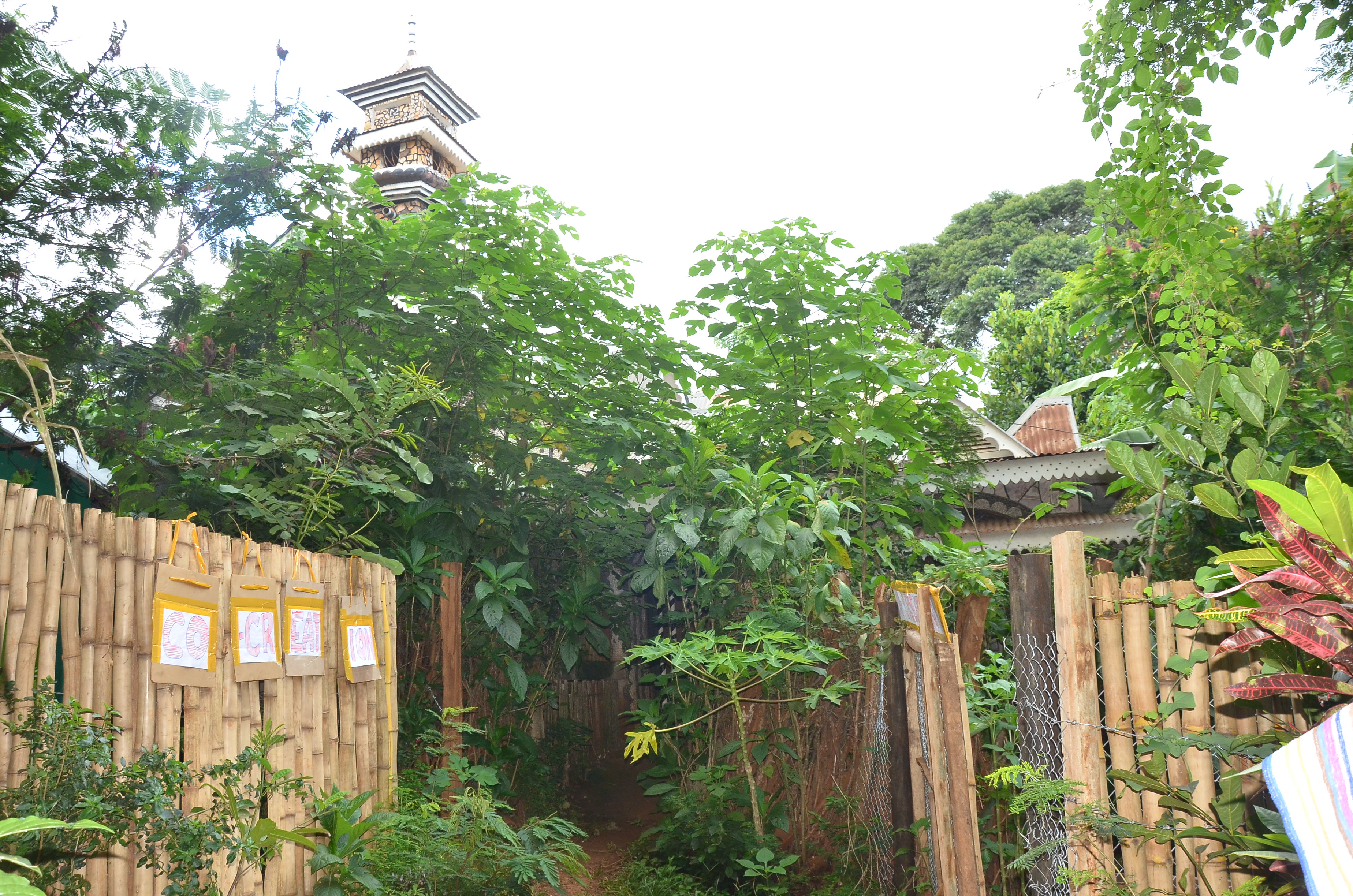 Gallery image: DSC_8189.JPG