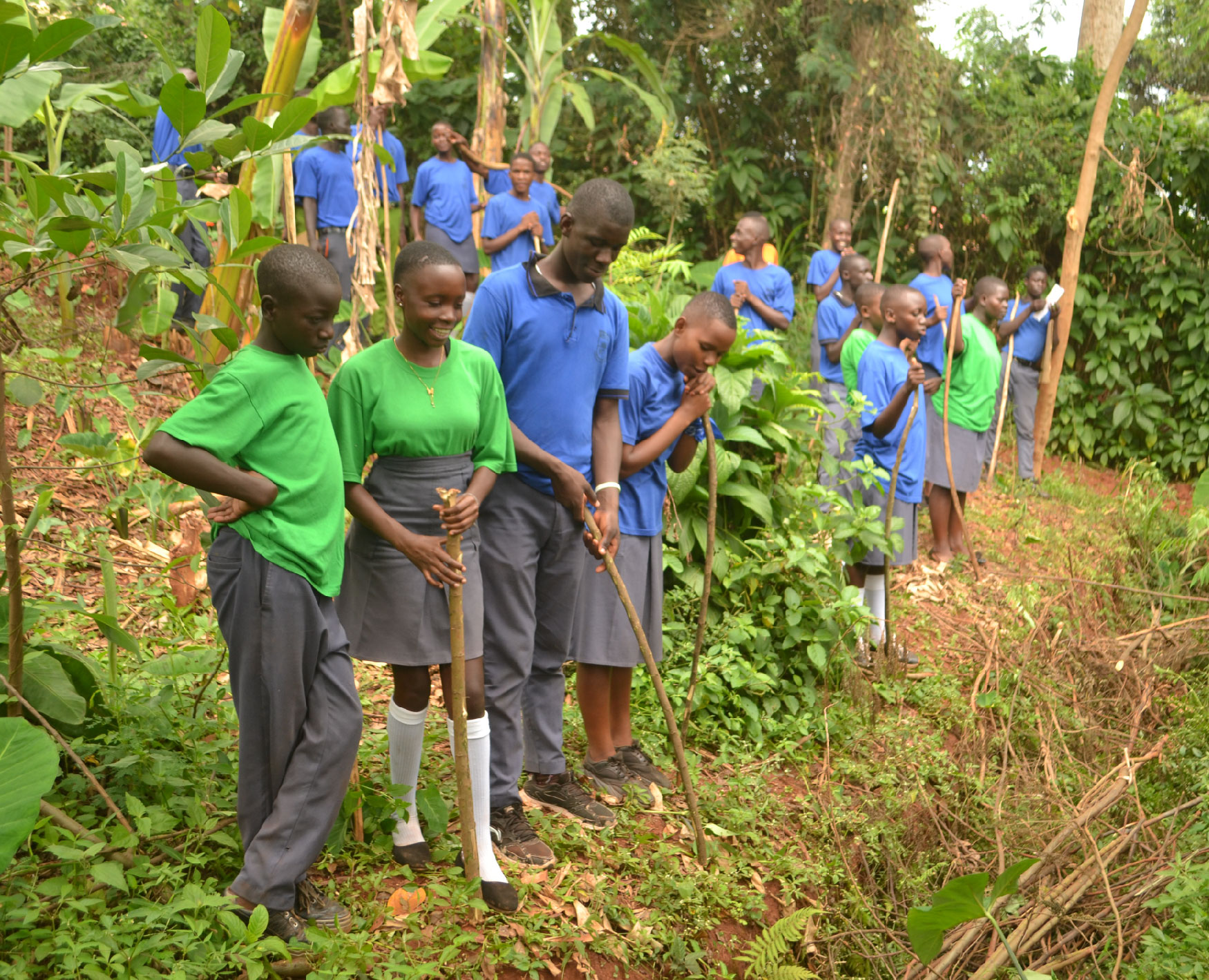 Gallery image: post_3.jpg