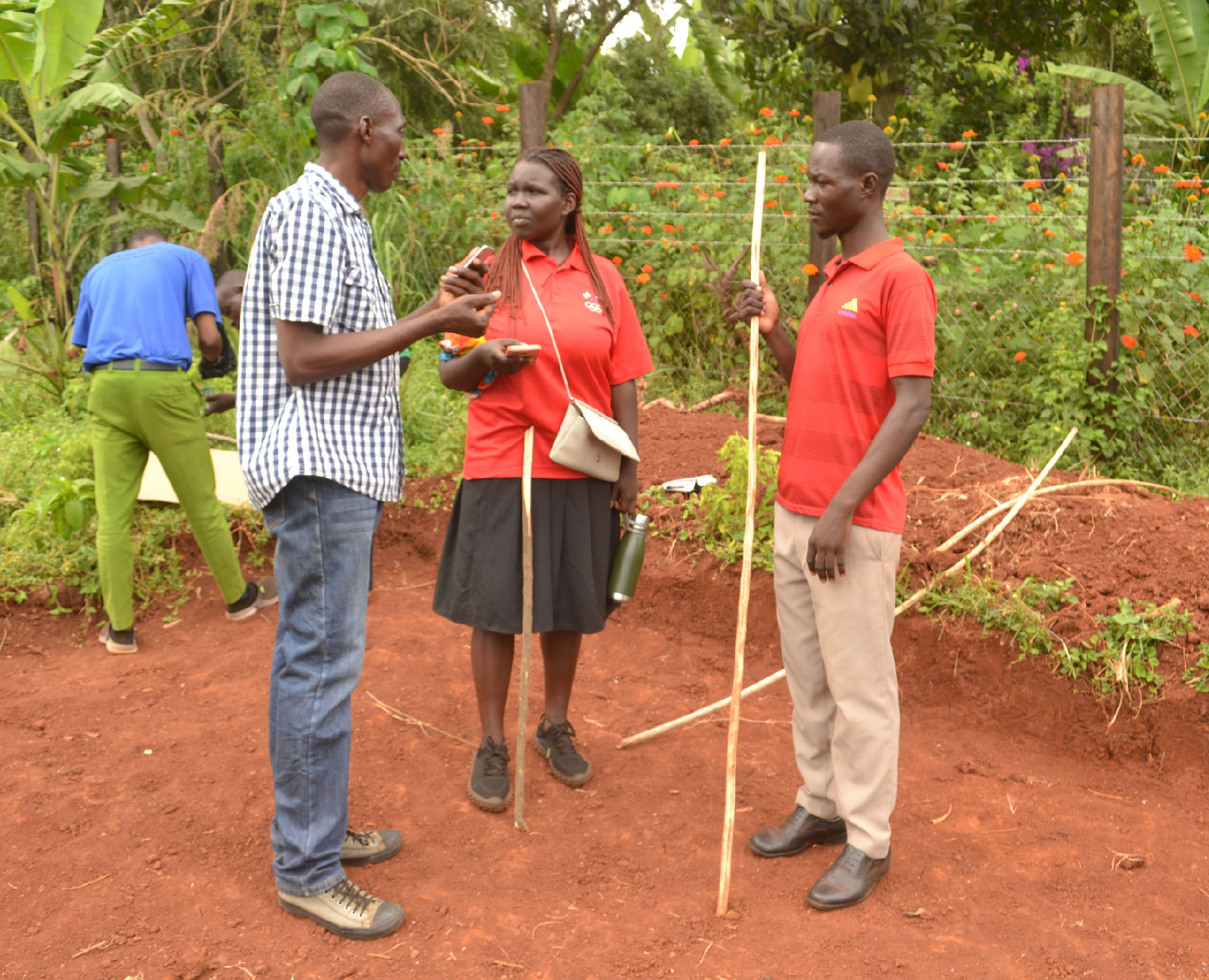 Gallery image: post_6.jpg