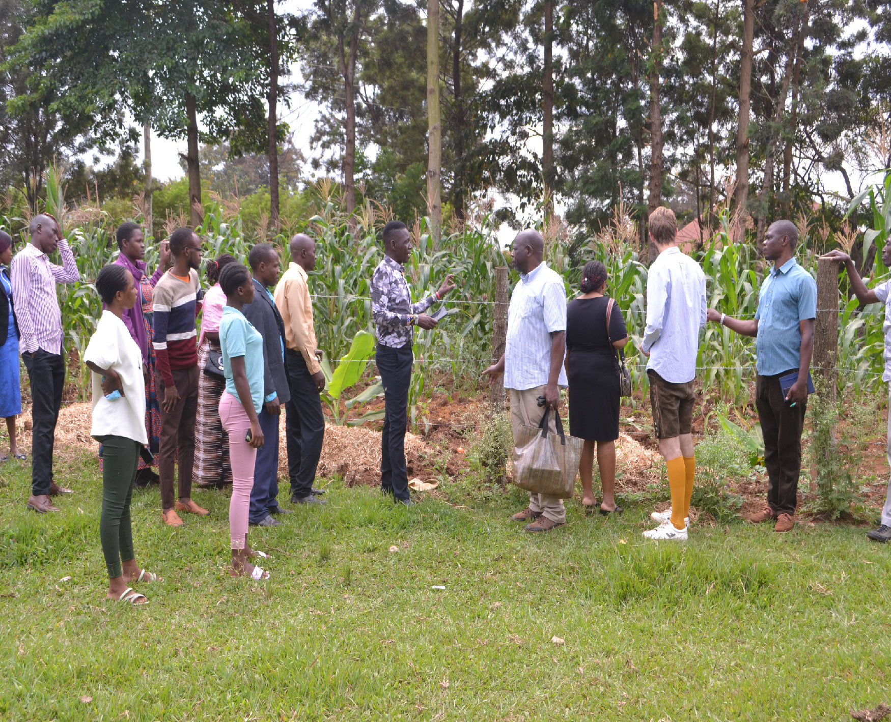 Gallery image: post_7.jpg