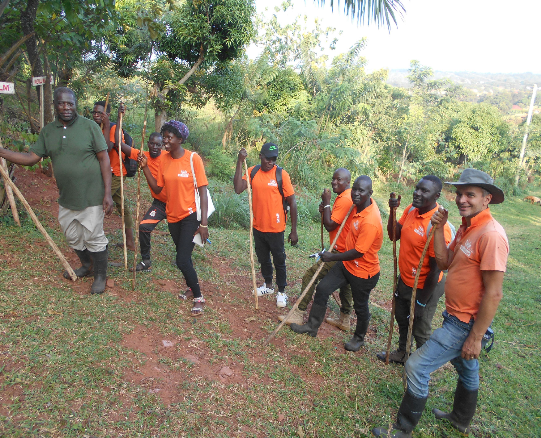 Gallery image: post_8.jpg